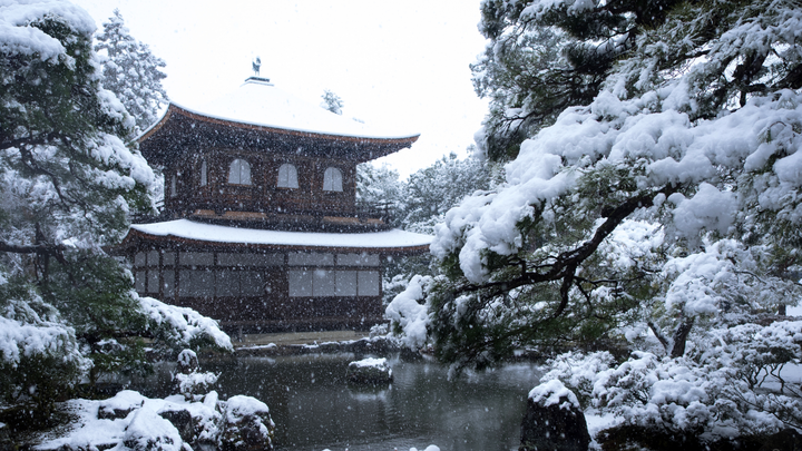 Petualangan Musim Dingin Tak Terlupakan: Menjelajah Jepang Bersama Keluarga!