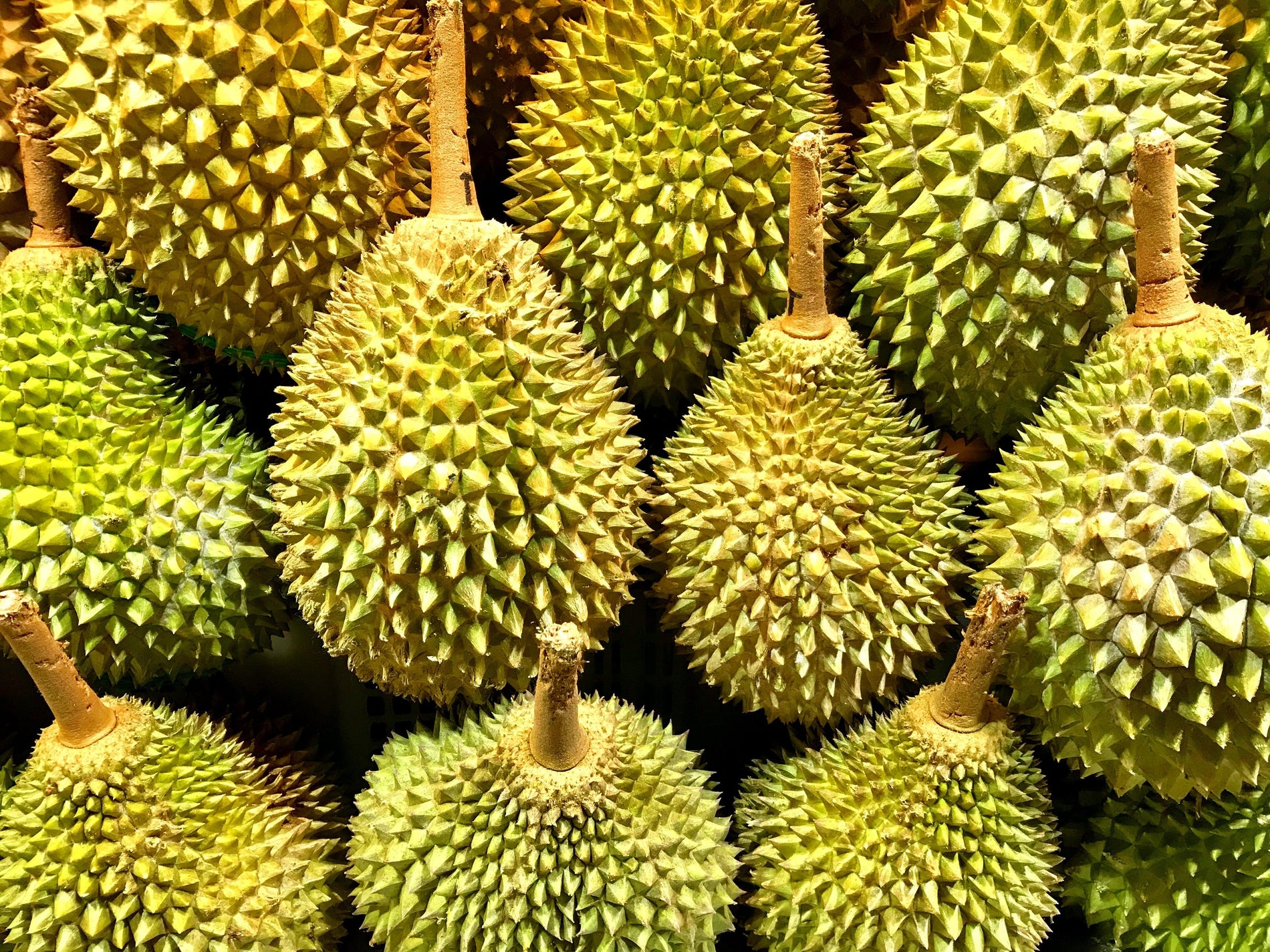 Durian Bisa Difermentasi? Berikut Resep Membuat Tempoyak Khas Melayu