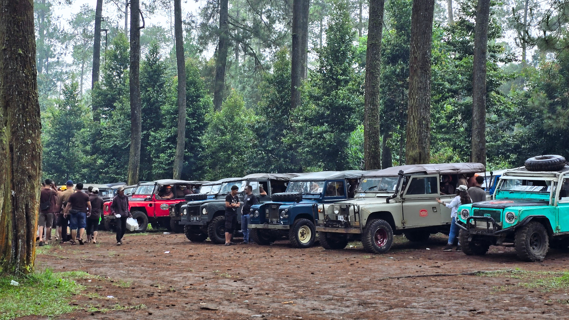 Offroad Ekstrem di Hutan Pinus Cikole: Pengalaman Liburan yang Berbeda