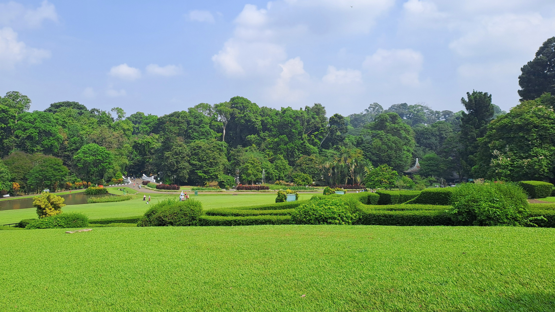 Liburan Santai di Tengah Alam: Serunya Weekend Keluarga di Kebun Raya Bogor