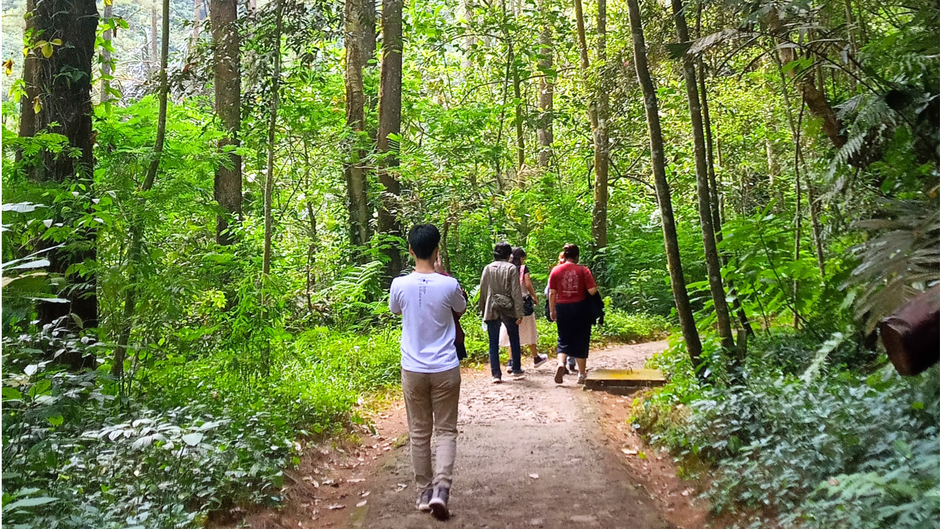 Tahura Bandung, Destinasi Alam untuk Trekking dan Menikmati Udara Segar