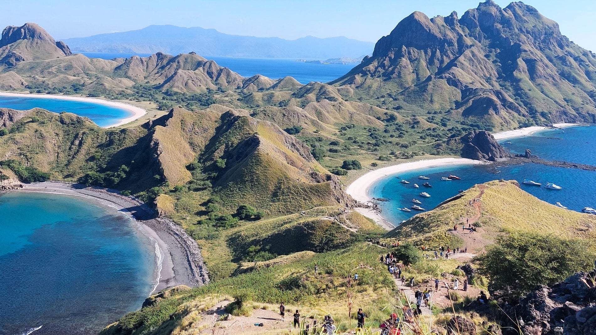 Explore Komodo: Hidden Paradise Indonesia yang Wajib Masuk Bucket List!