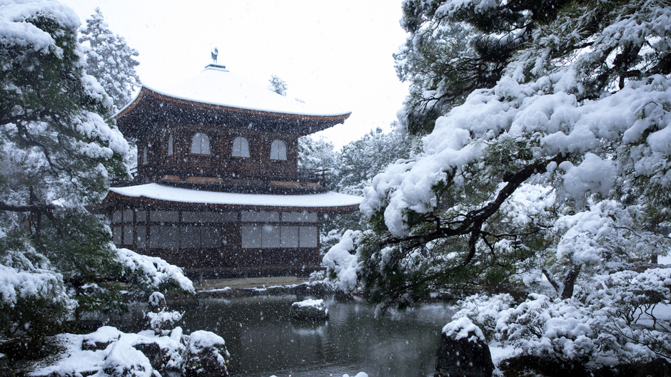 Petualangan Musim Dingin Tak Terlupakan: Menjelajah Jepang Bersama Keluarga!