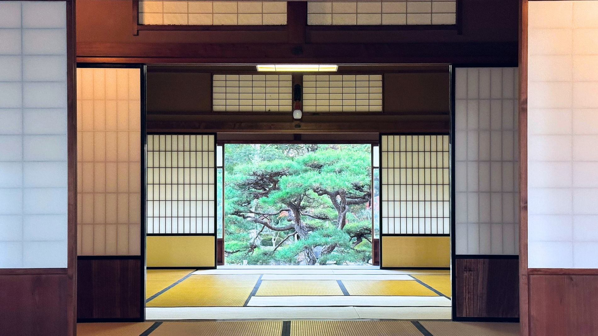 Rahasia Tata Ruang Feng Shui untuk Menciptakan Energi Positif di Rumah