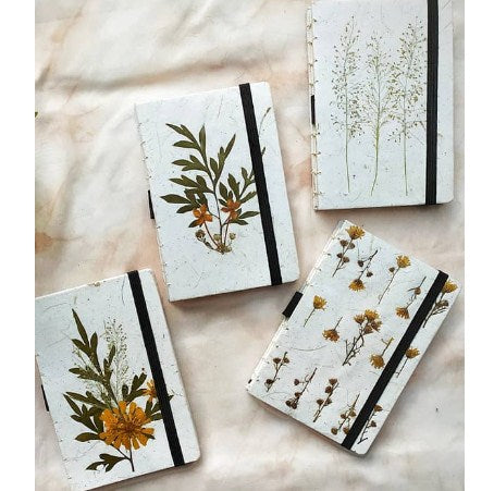 Herbaria A5